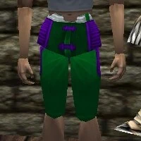 Leather Shorts Live