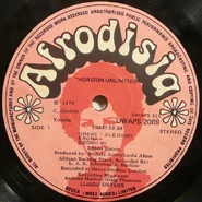 Afrodisia DWAPS2089 1