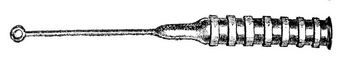 Protanibolum pyrobola