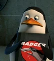 Badger Book.JPG