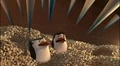 Popcorn Explosion 001.jpg