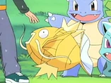 EP368 Magikarp Dorado