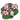 Lotus-icon