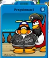 Penguinnate2