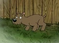 Pooter.jpg