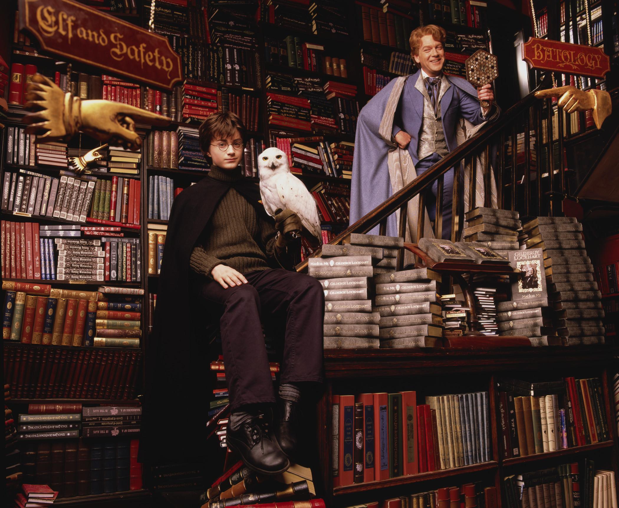 http://images4.wikia.nocookie.net/__cb20100223223441/harrypotter/images/3/35/HarryandLockhartatFlourishandBlotts.jpg
