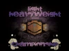 FMWLightHeavyweightChampionship