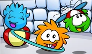 OrangePuffle2