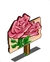 Pink Roses