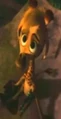 Little Giraffe.jpg