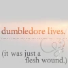 Dumbledorefleshwound.jpg