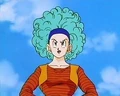 Bulma6
