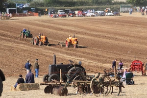Little Casterton working field 09 - IMG 1649