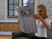 BleehSimSelf Newspaper