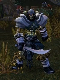 Ravenclaw Raider