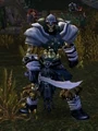 Ravenclaw Raider.jpg