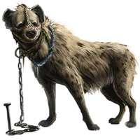 Large item hyenaonachain.jpg