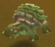 Mudrock Spikeshell