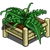 Tropical Planter-icon