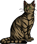 Die WindClan-Chroniken Longtail.warrior