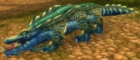 Image of Saltwater Crocolisk