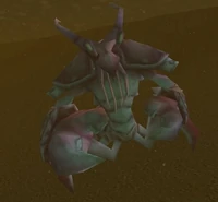 Image of Muckshell Pincer