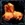 Orange Ore