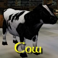 Cow Exemplar