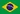 Portuguese / Brazil