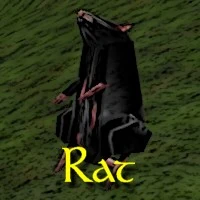 Rat Exemplar