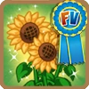Flower power blue