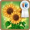 Flower power white