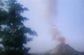 Pterodactyl In Volcanoe