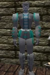 Leather Armor Argenory Live