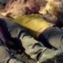 Tvs6x08ajirafemale2.jpg