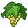 Chardonnay-icon