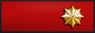 Sleeve insignia.