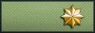 Sleeve insignia.