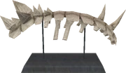 Mounted-tulrus-spine