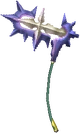 Tragic Allium