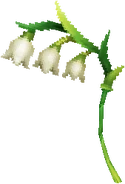 Dainty Bellflowers