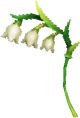 Dainty Bellflowers