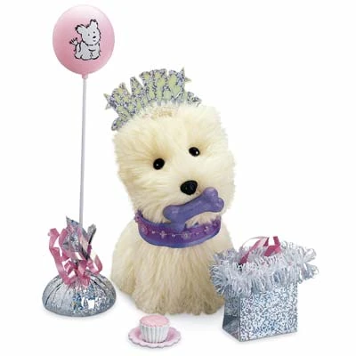 Coconut's Birthday Accessories - American Girl Wiki