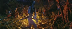 Filmstill030