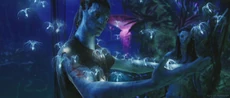 James-Camerons-Avatar-30