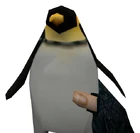 Penguin view