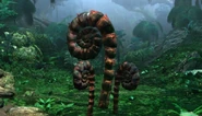 Fiddlehead