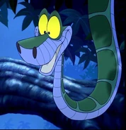 Kaa jb2