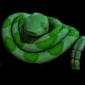 Green snake-char.jpg