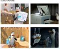 Kowalski-pics.JPG